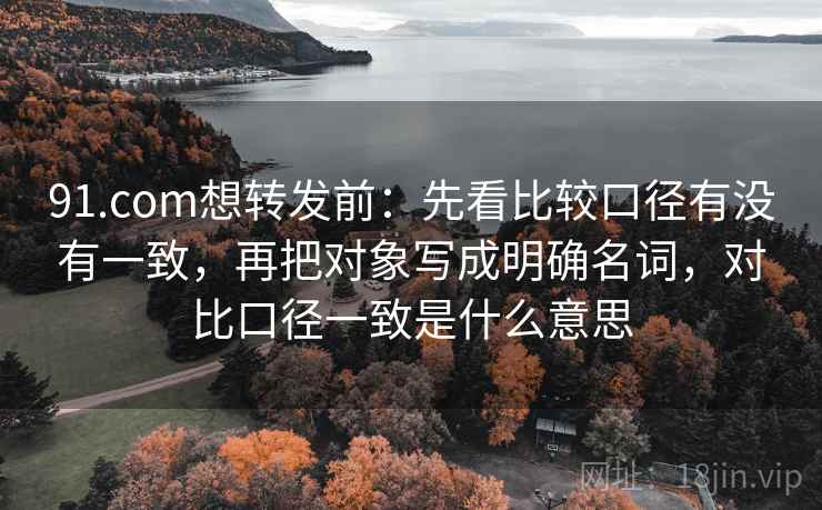 91.com想转发前：先看比较口径有没有一致，再把对象写成明确名词，对比口径一致是什么意思  第2张